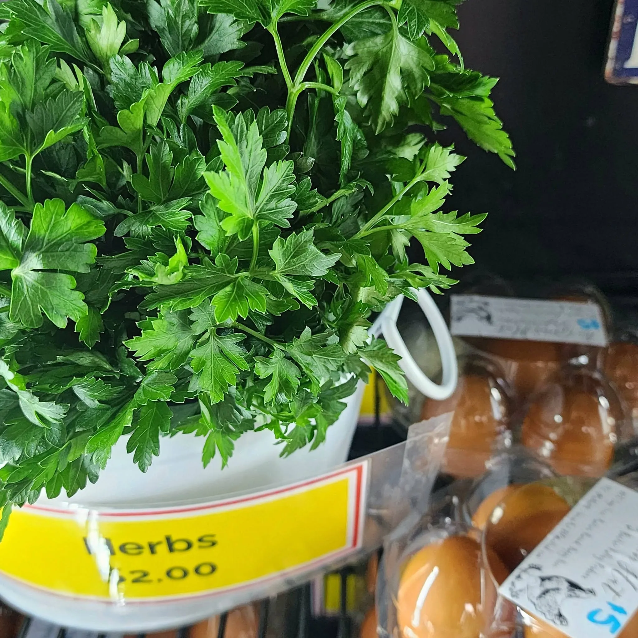 Fresh flat-leaf parsley in white pot with $2.00 price label at farm gate store